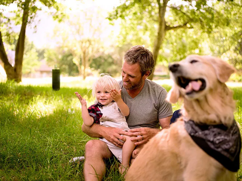 Familie protejată de țânțari cu Qista