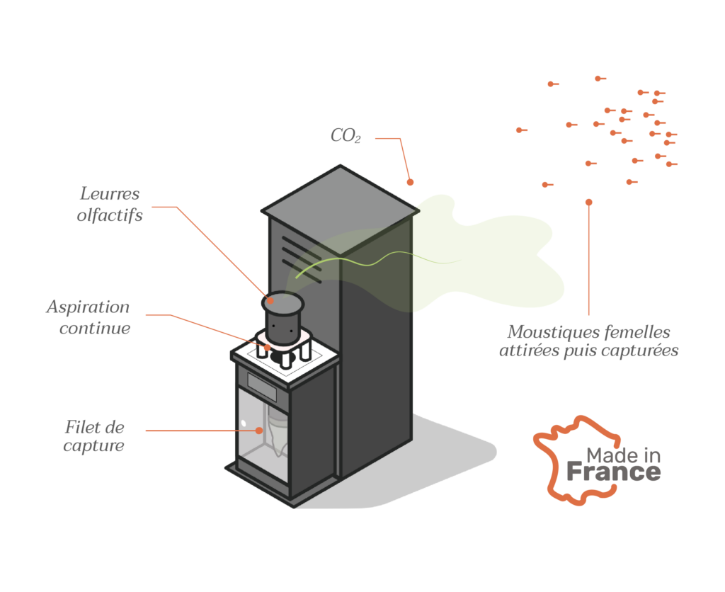 Funcționarea capcanei Qista