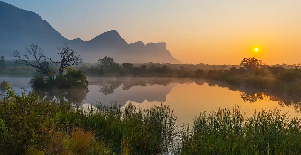 Soluție ecologică anti-țânțari